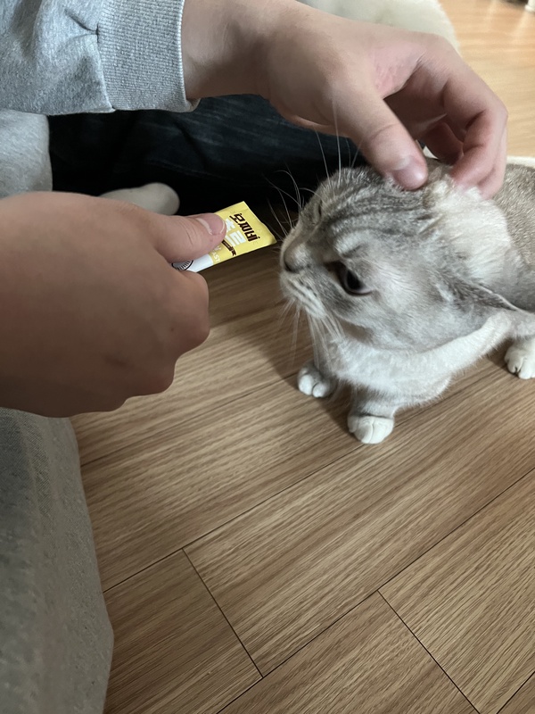 유저이미지
