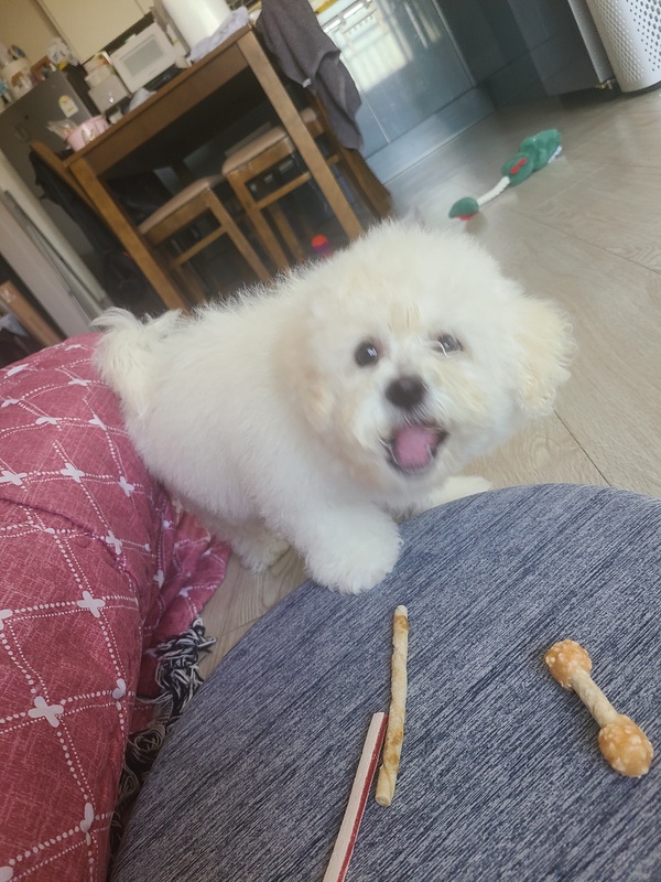 매니저이미지